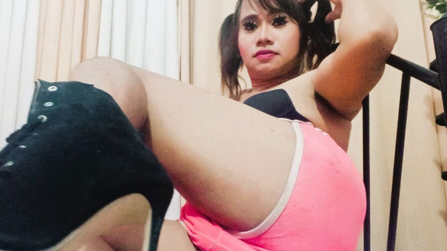 HanyHards live trans cam model photo