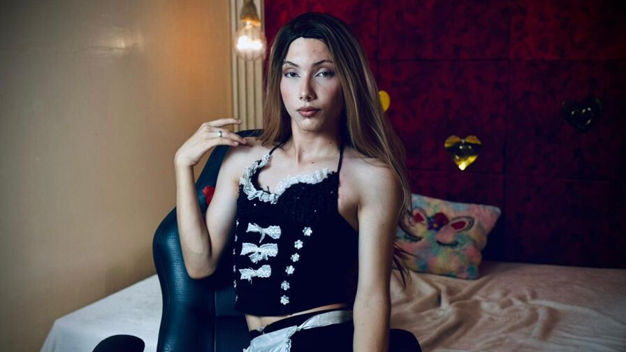 MabbelNova transgender webcam profile image