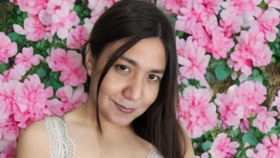 StellaStyles trans webcam performer profile image